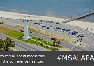 Mississippi and Alabama APA Chapters’ Annual Conference